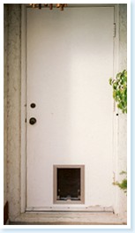 door pet door